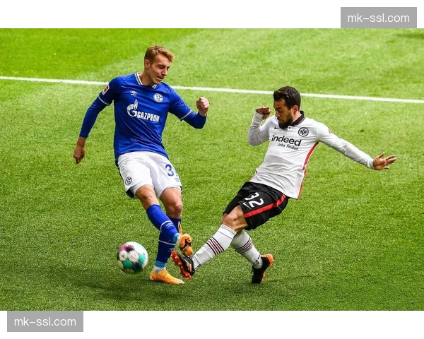 通讯：一座城市的足球记忆——回顾沙尔克04重返德甲的第一个赛季